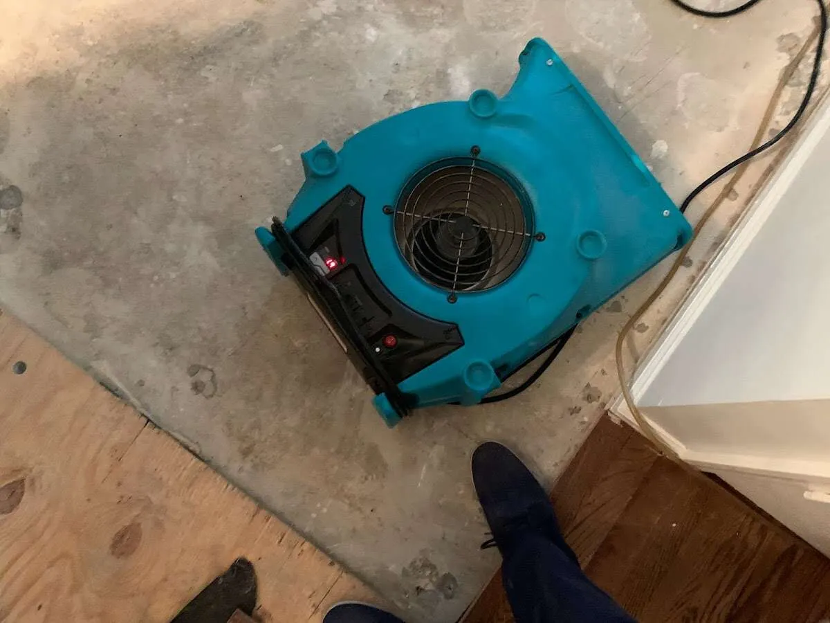Air mover drying subfloor during Leak Detection & Repair in Somerville